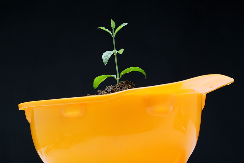 waste removal junk removal